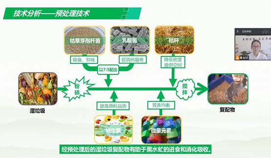 化药学院在第十四届全国大学生节能减排大赛中获佳绩 环保工艺研发引领绿色创新