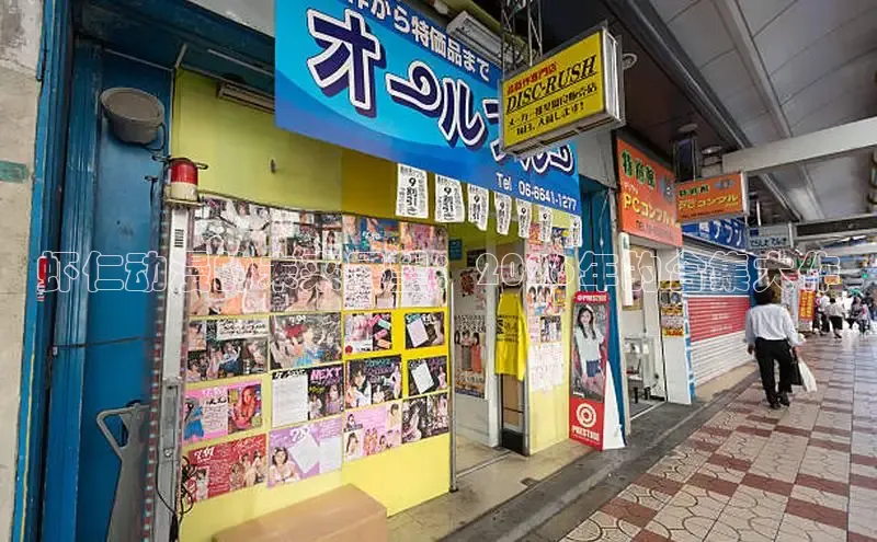 里番动漫在线观看